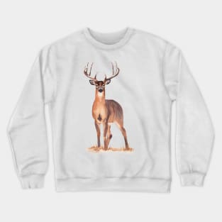 Watercolor deer painting. Crewneck Sweatshirt